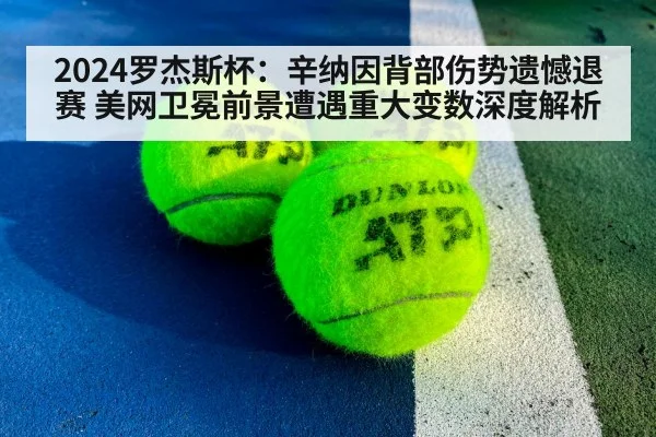 professional tennis hard court