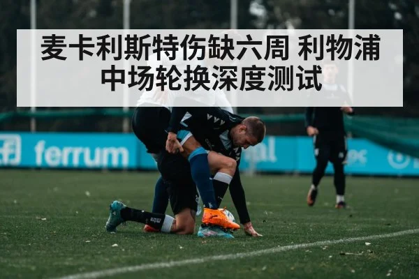 麦卡利斯特伤缺六周 利物浦中场轮换深度测试